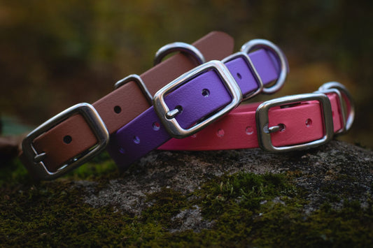 5/8" Mini Waterproof BioThane Stainless Steel Buckle Collar