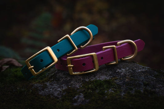 5/8" Mini Waterproof BioThane Brass Buckle Collar