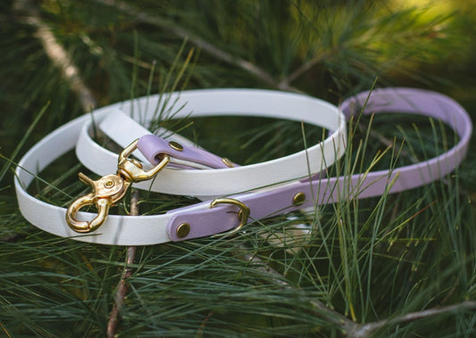 Backwoods Dog waterproof BioThane two-Tone 5/8" dog leash