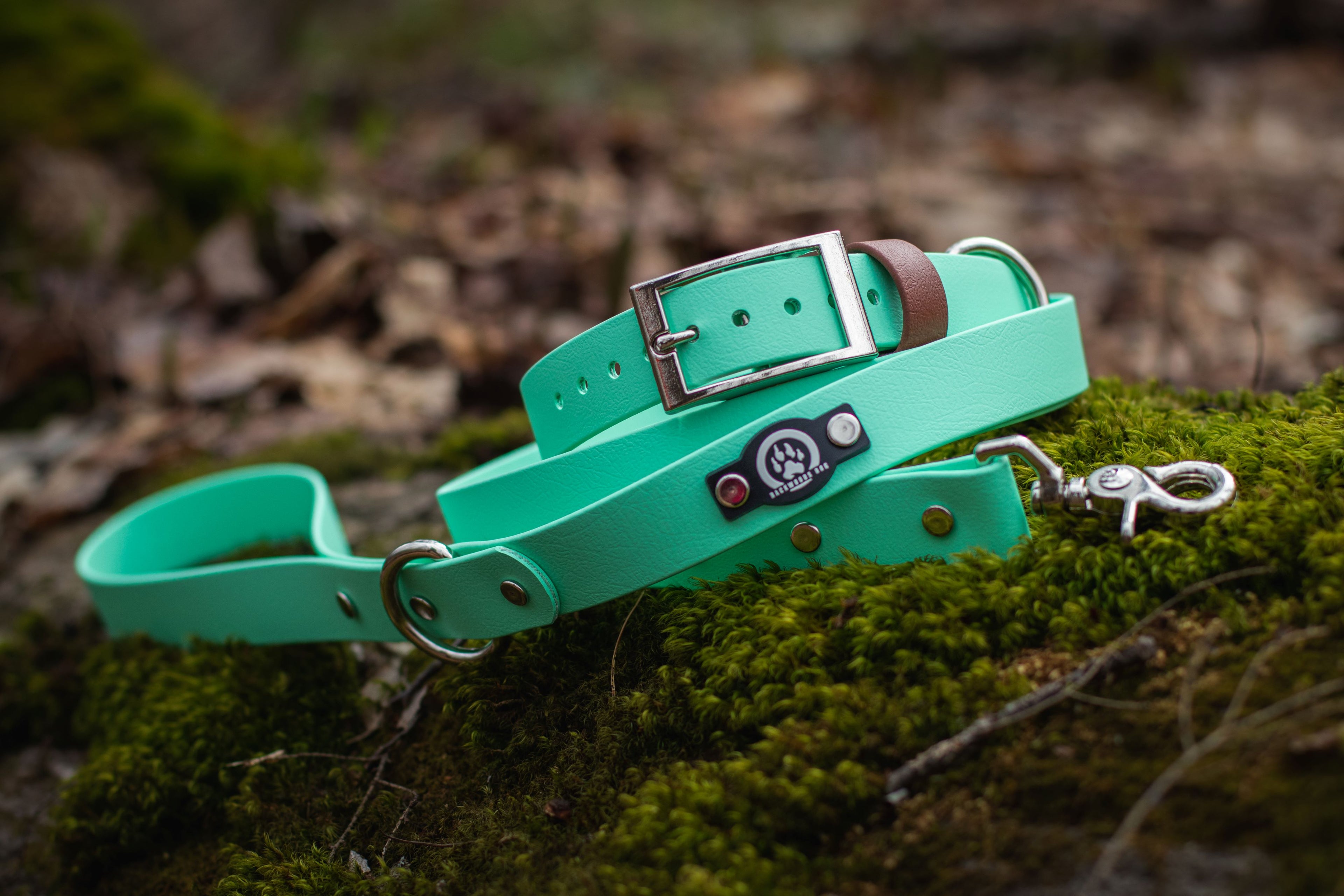 mint silver buckle collar and leash set on mossy forest floor