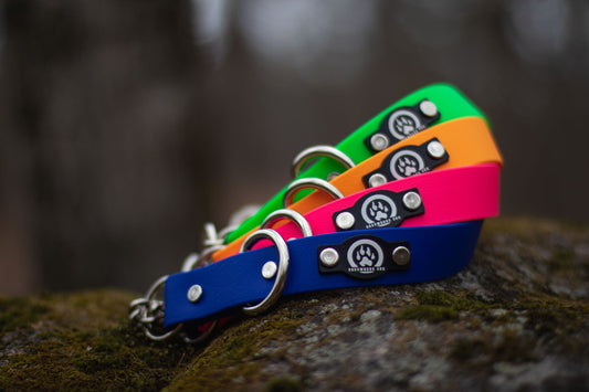 Collier Martingale Argent Ajustable Etanche