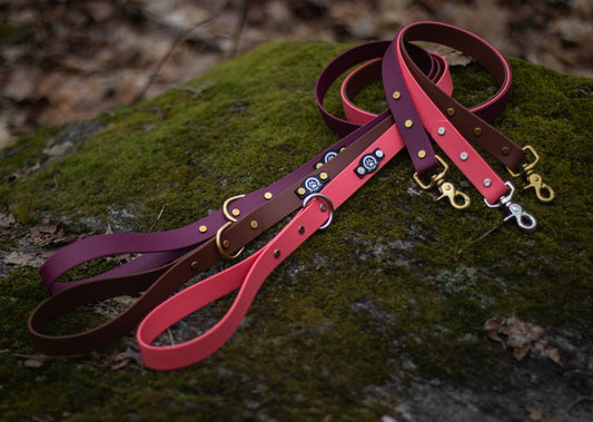 Backwoods Dog classic biothane 1" waterproof dog leash