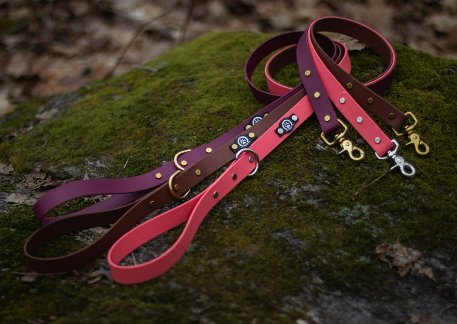 Backwoods Dog standard 1" BioThane waterproof dog leashes in coral and silver, brown and brass, wine and brass