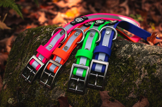 Backwoods Dog Waterproof Reflective BioThane Buckle Dog Collars with stainless steel hardware
