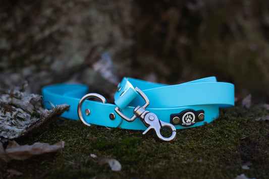 Backwoods Dog waterproof BioThane 5' stainless steel dog leash in sky blue