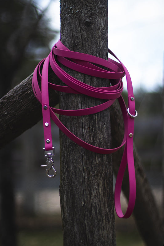 Backwoods Dog waterproof BioThane stainless steel long lead