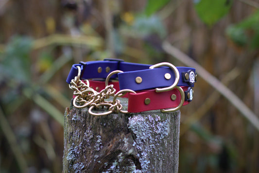 Two waterproof dog collars, one blue and one red, with gold chain on a wooden post against a blurred natural background.
