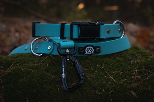 quick release collar and carabiner leash