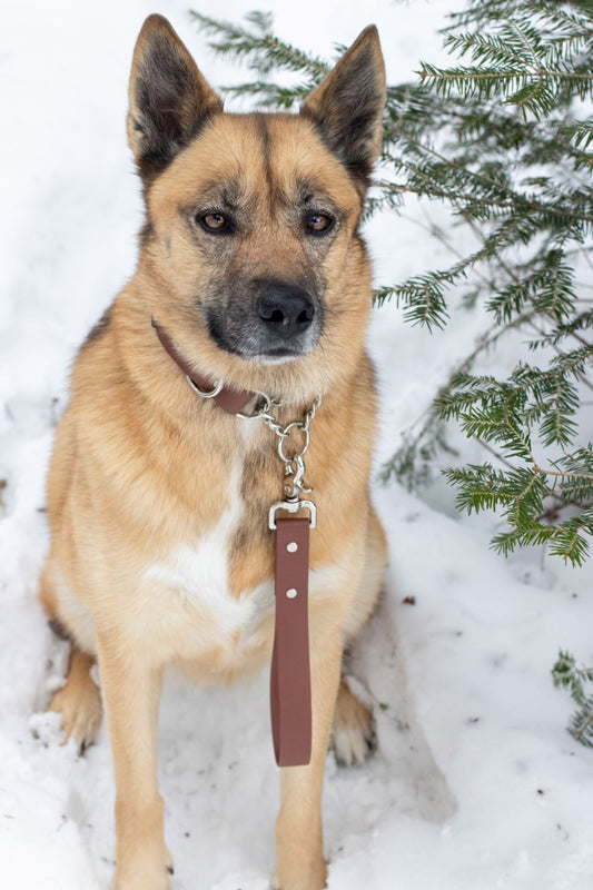 Backwoods Dog Vegan Leather BioThane Training Tab