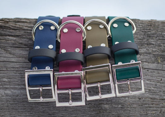 Backwoods Dog 1.5" waterproof BioThane vegan leather big dog collar