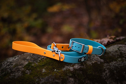 Backwoods Dog two tone waterproof BioThane buckle collar and leash set in stainless steel, tangerine and dusty turquoise 