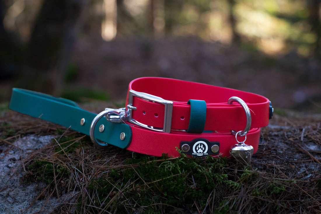 Jingle All the Way with Our Exclusive Christmas Dog Collar!