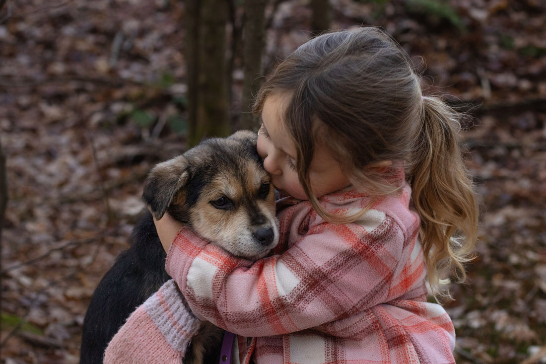 Dogs: The Unseen Healers of Our Souls and Bodies