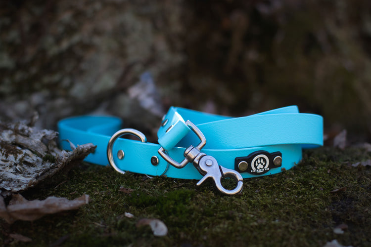 Classic Leashes
