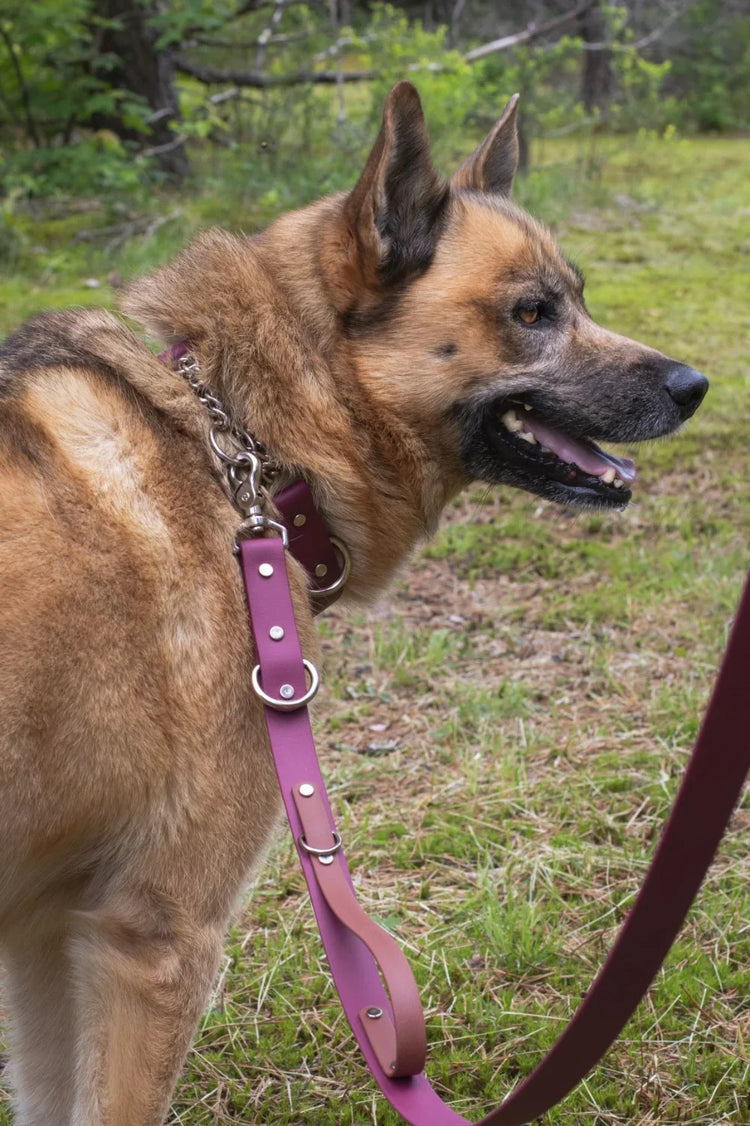 Backwoods Dog BioThane waterproof dog leash