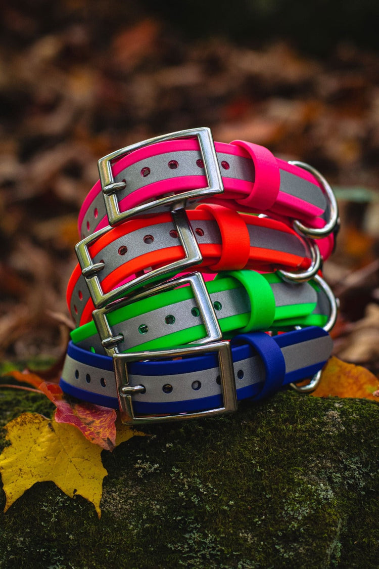 Reflective Collars