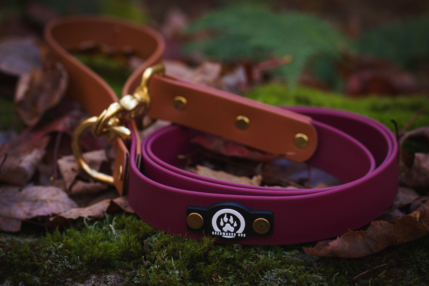 Backwoods Dog waterproof BioThanedog leash two tone brass hardware 