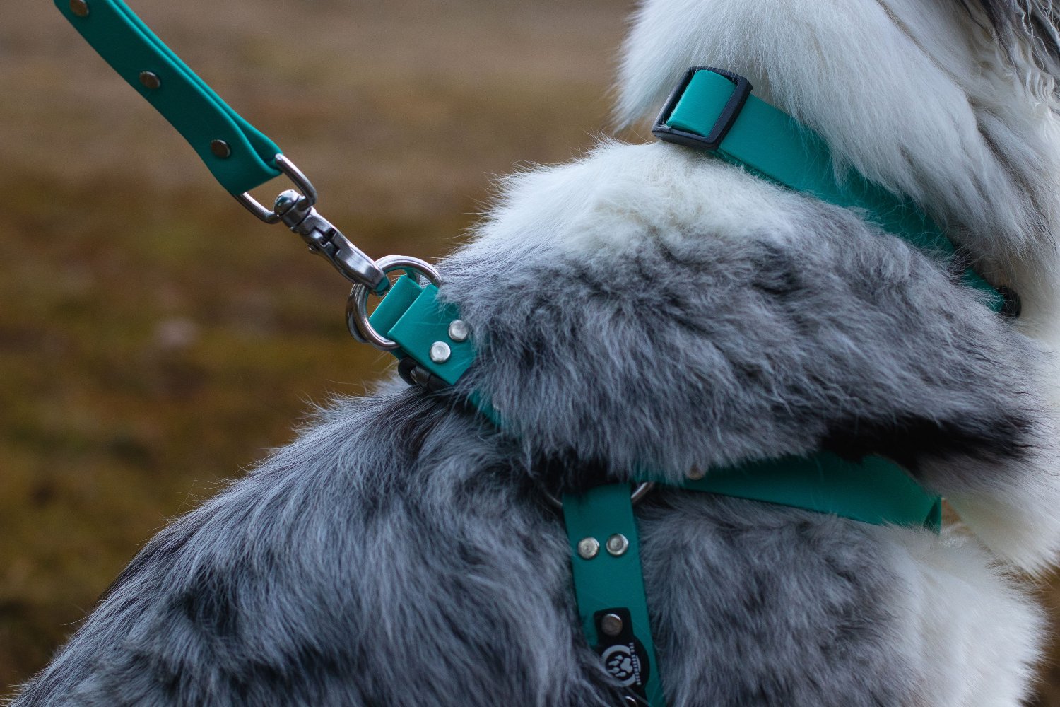 Waterproof BioThane Step-In Harness – Backwoods Dog