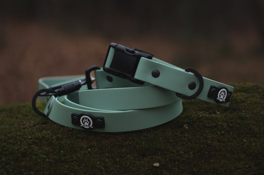 Quick Release Collar & Matching Leash Set
