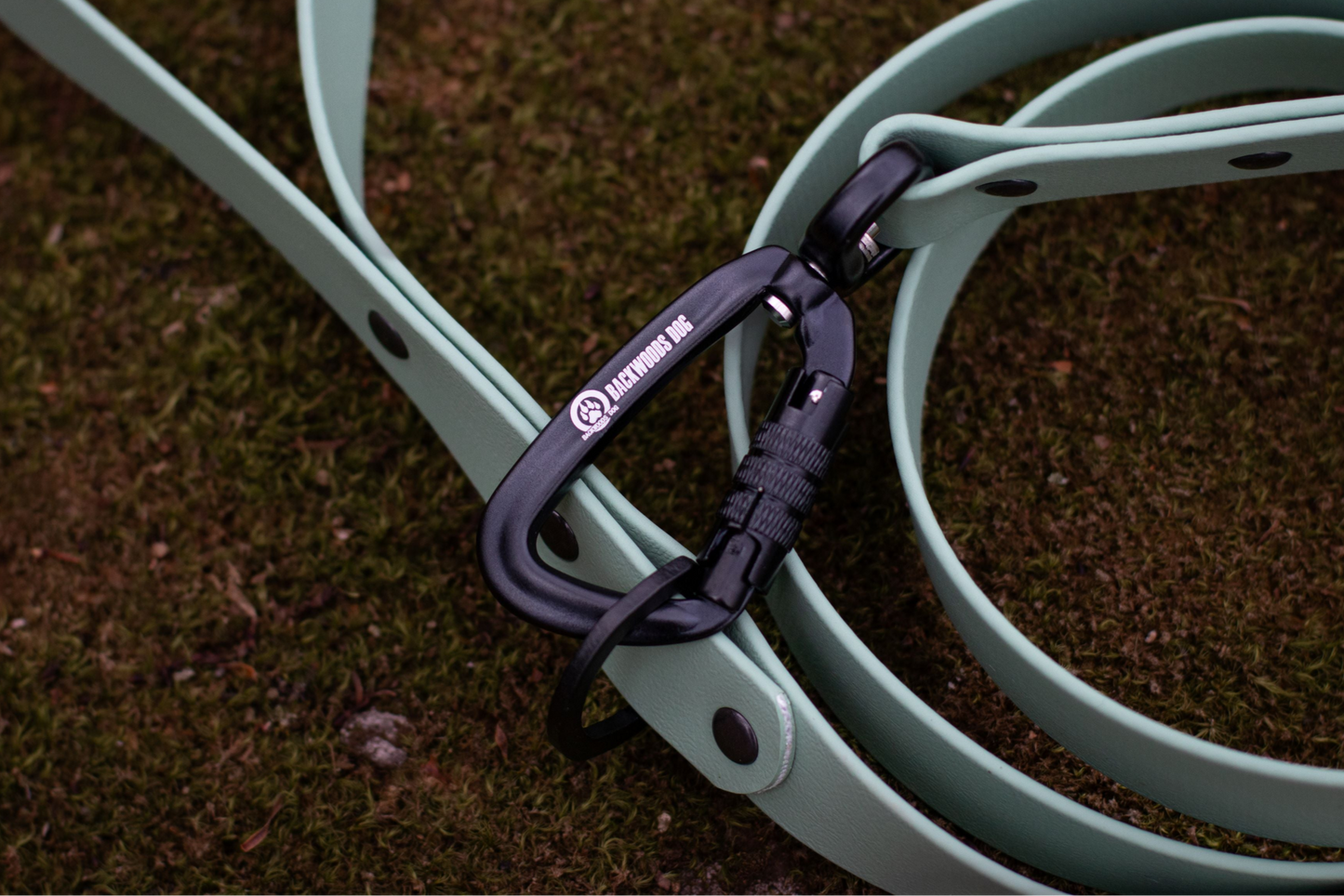 Quick Release Collar & Matching Leash Set