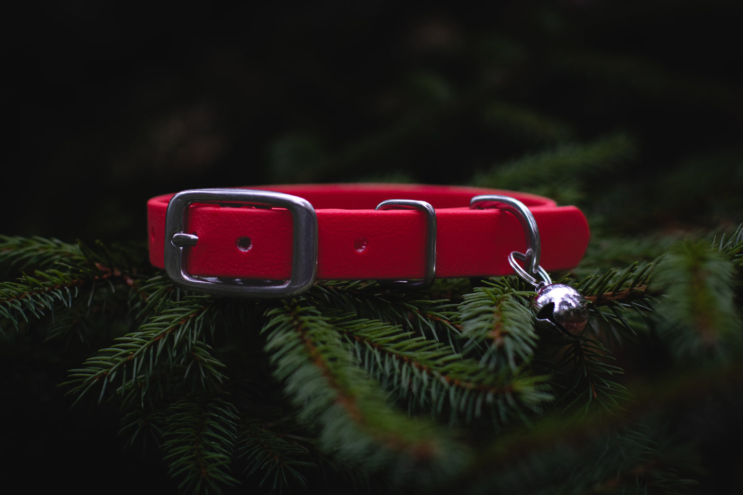 Limited Edition Mini Christmas Jingle Bell Collar