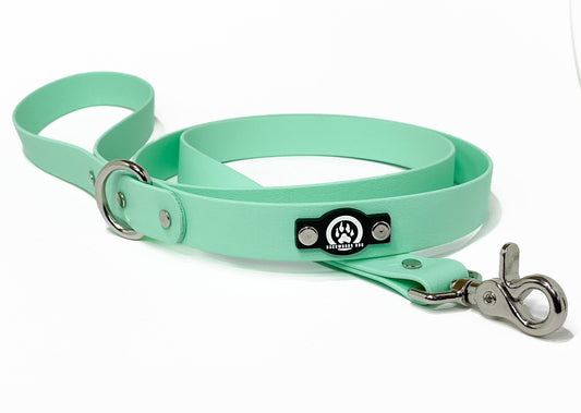 backwoods dog biothane waterproof silver hardware leash