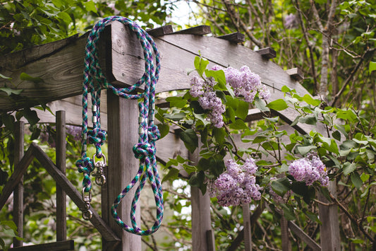 Leash hanging on a wooden structure with purple flowers in the background