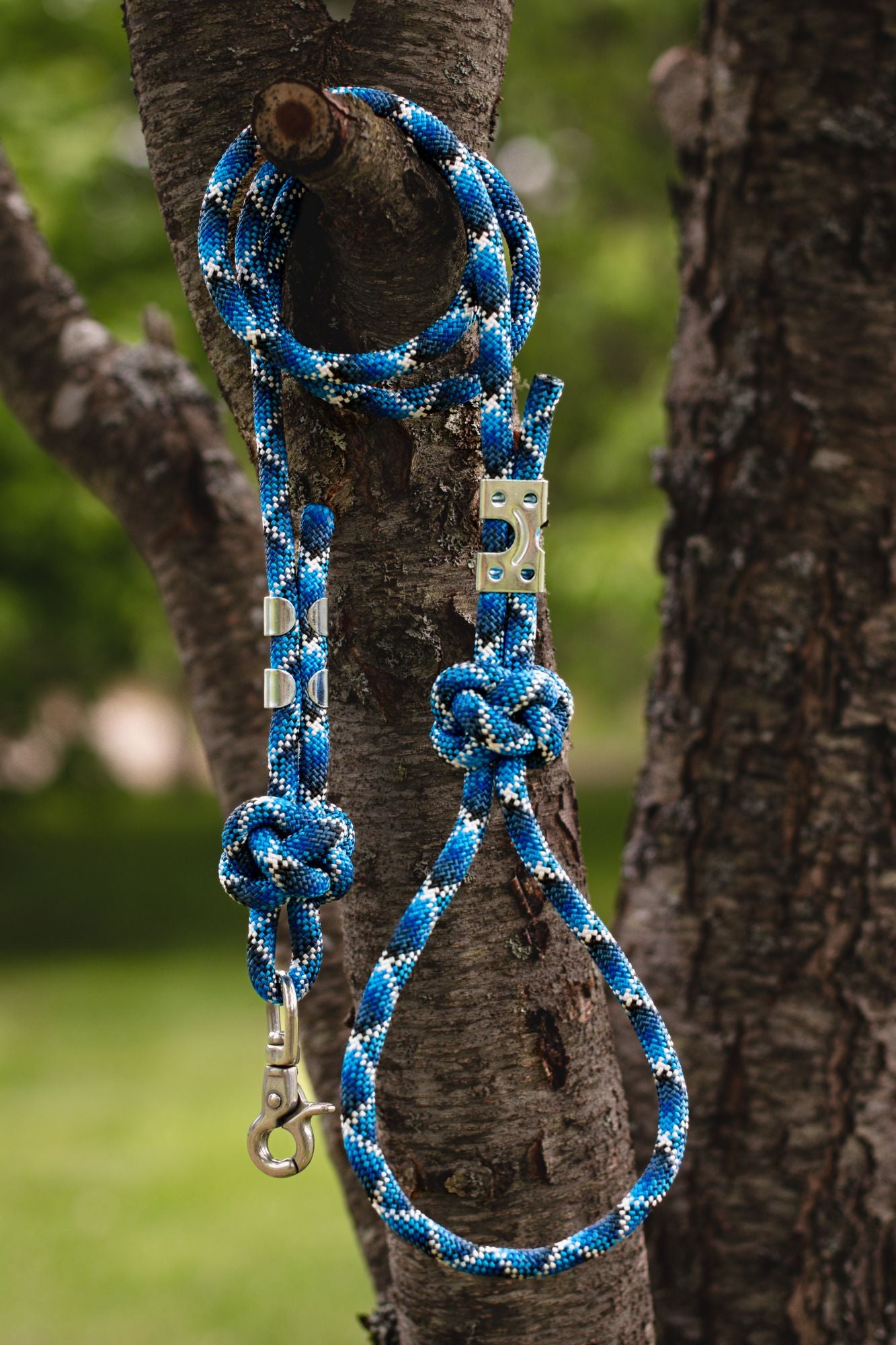 Blue braided dog leash with metal clasp on a tree