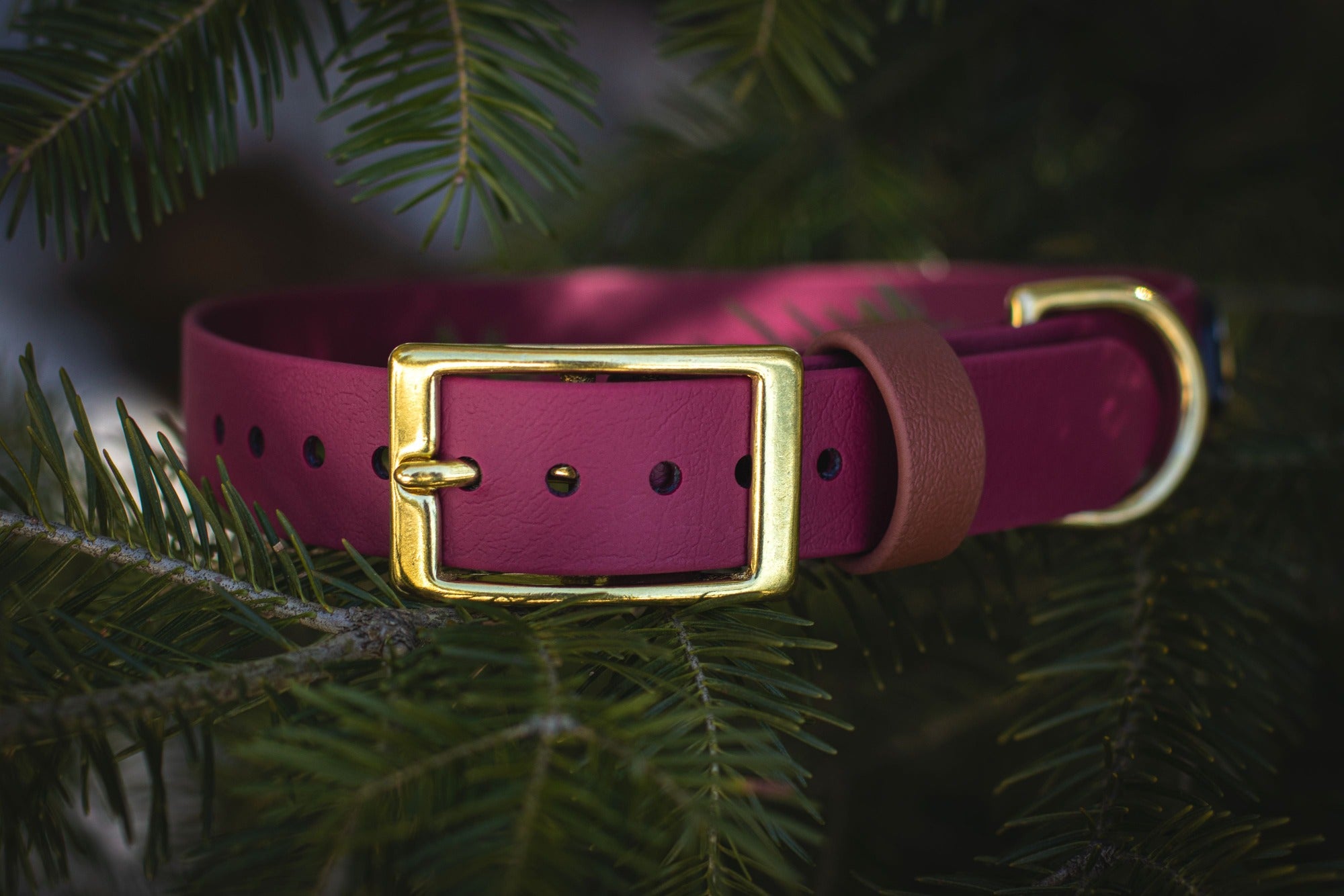 Wine dog hot sale collar