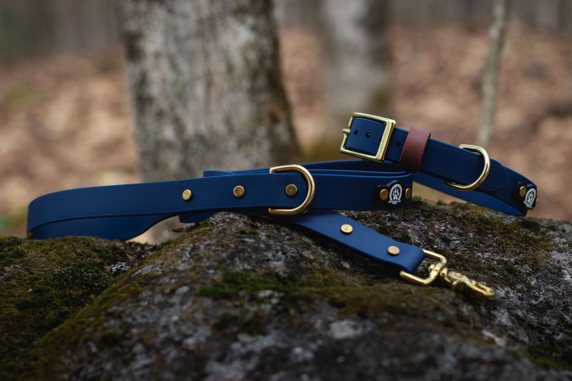 Backwoods Dog waterproof biothane brass buckle dog collar and leash in navy