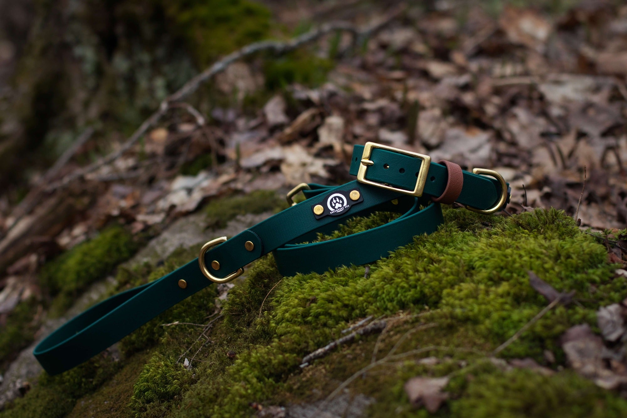 Backwoods Dog waterproof biothane brass buckle dog collar and leash in forest green