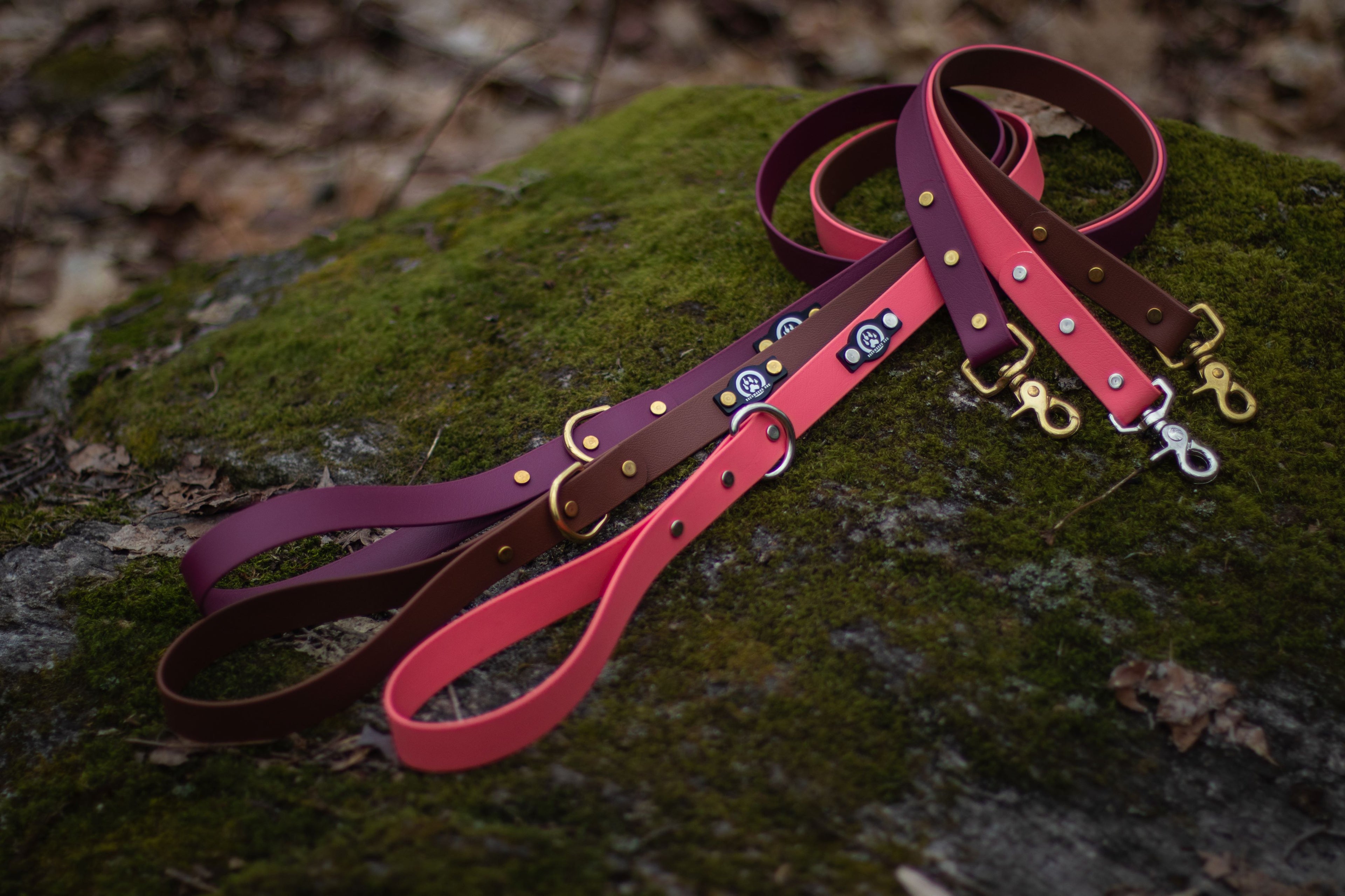 Backwoods Dog waterproof dog leashes in wine, brown, and coral on mossy rock