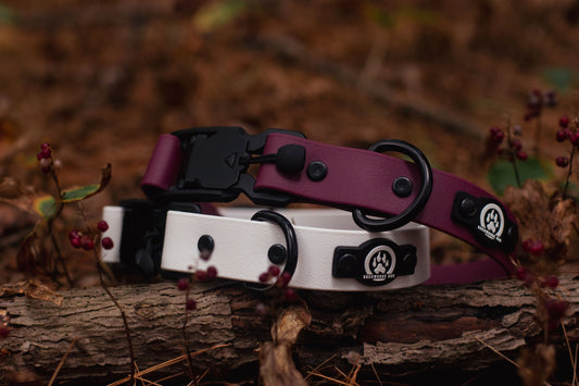 Dog Collar  Hardywood Online Shop