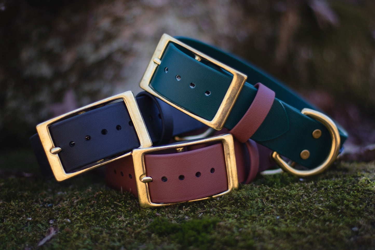 Backwoods Dog 1.5" waterproof biothane jumbo brass buckle dog collar in black, forest green, and brown