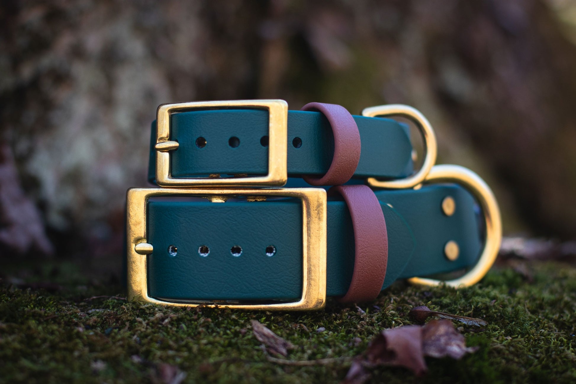 Backwoods Dog 1.5" and 1" waterproof biothane brass buckle dog collar in forest green