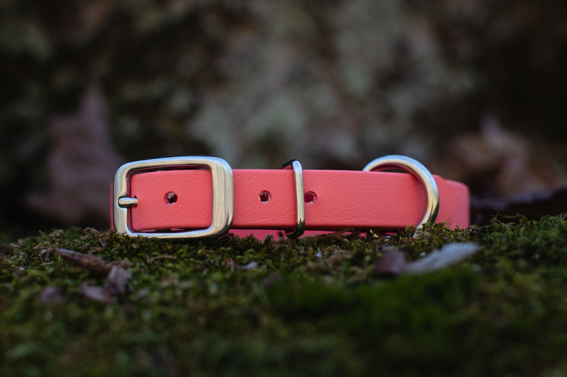 Backwoods Dog 5/8" waterproof biothane stainless steel buckle dog collar in coral