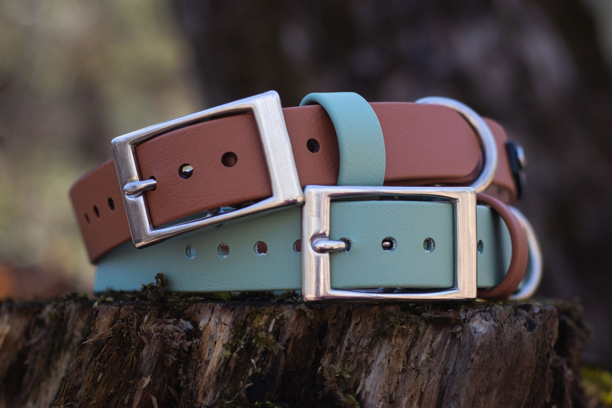 Backwoods Dog waterproof BioThane classic stainless steel buckle dog collar in sage green and cognac