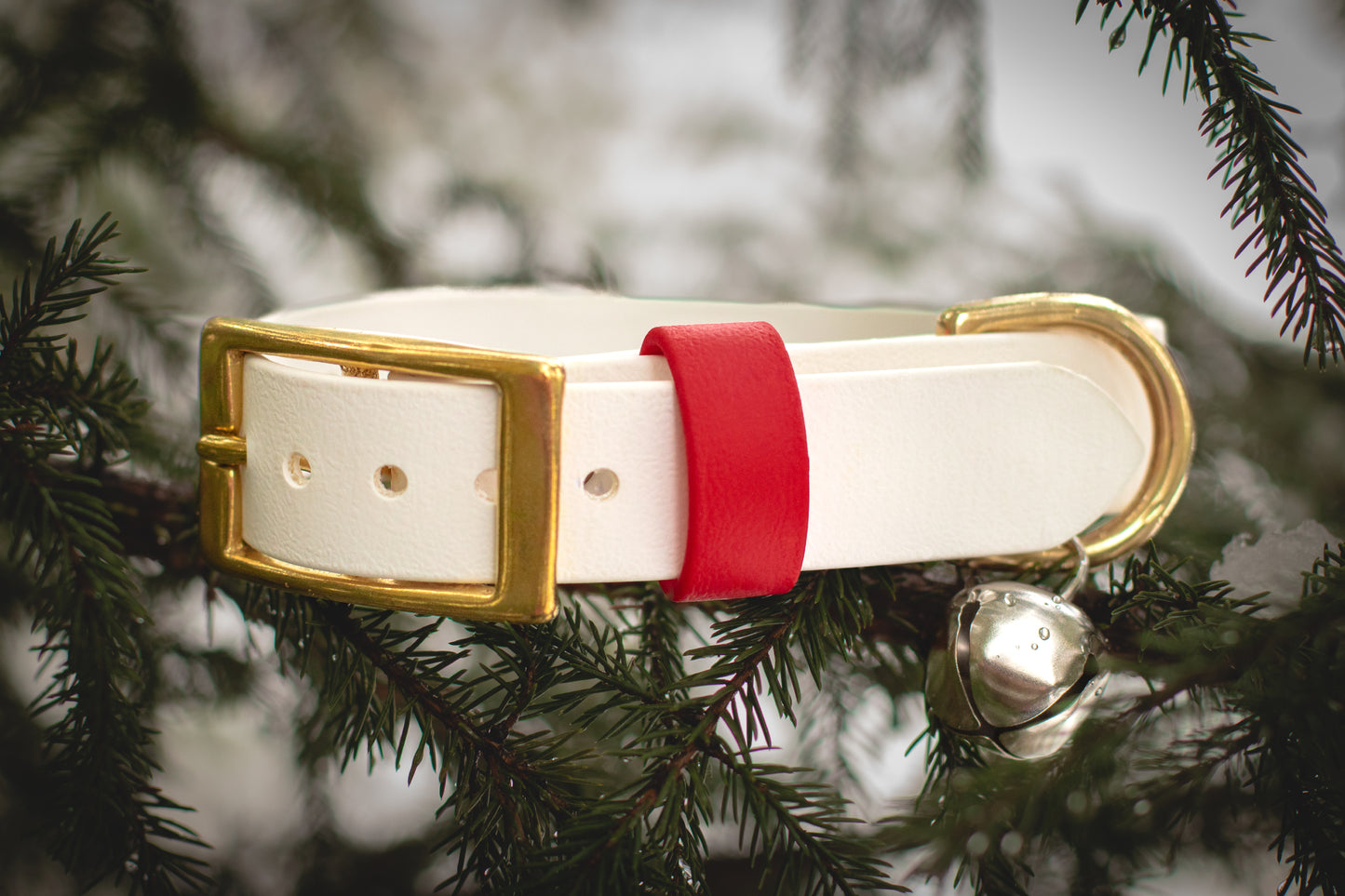 White belt with gold buckle and red strap hanging on a tree branch