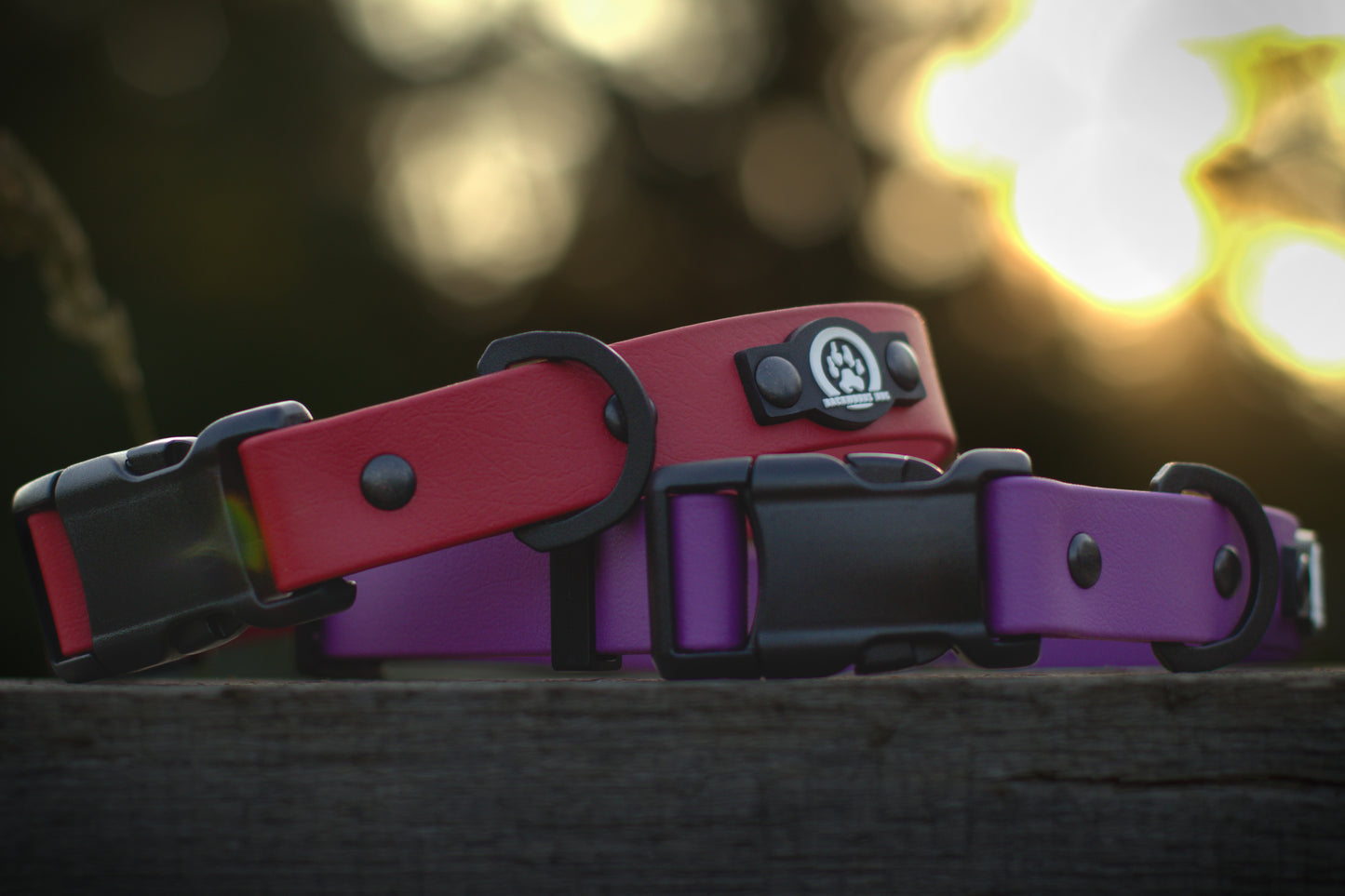 Collier pour chien imperméable à dégagement rapide