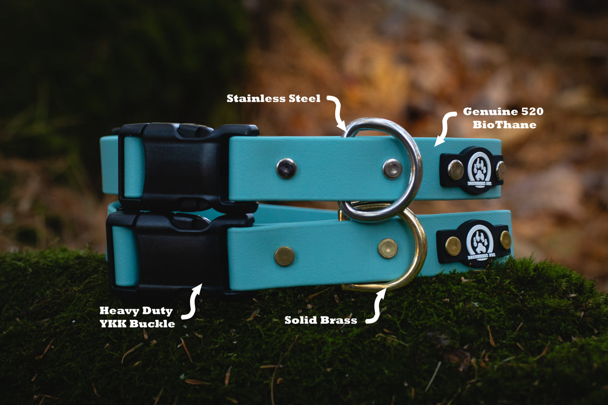 Collier pour chien imperméable à dégagement rapide