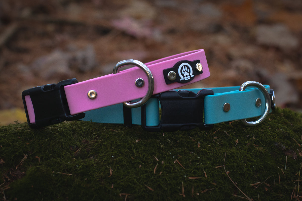 waterproof quick release dog collar pink turquoise