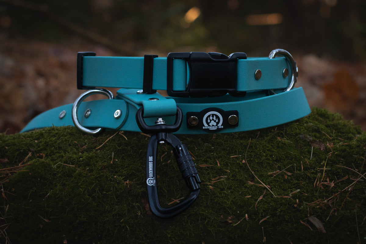 quick release collar and carabiner leash