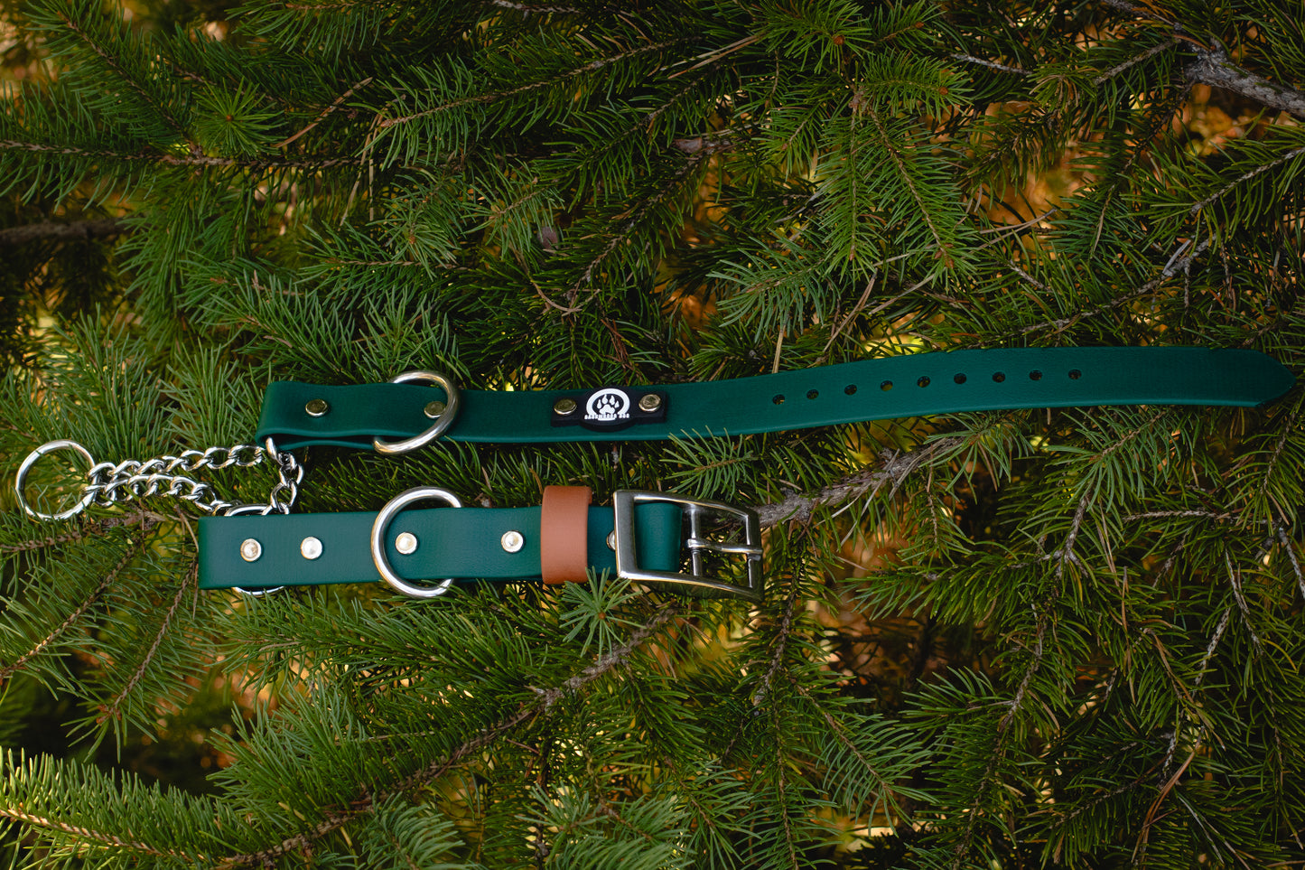 forest green stainless steel buckle martingale waterproof dog collar