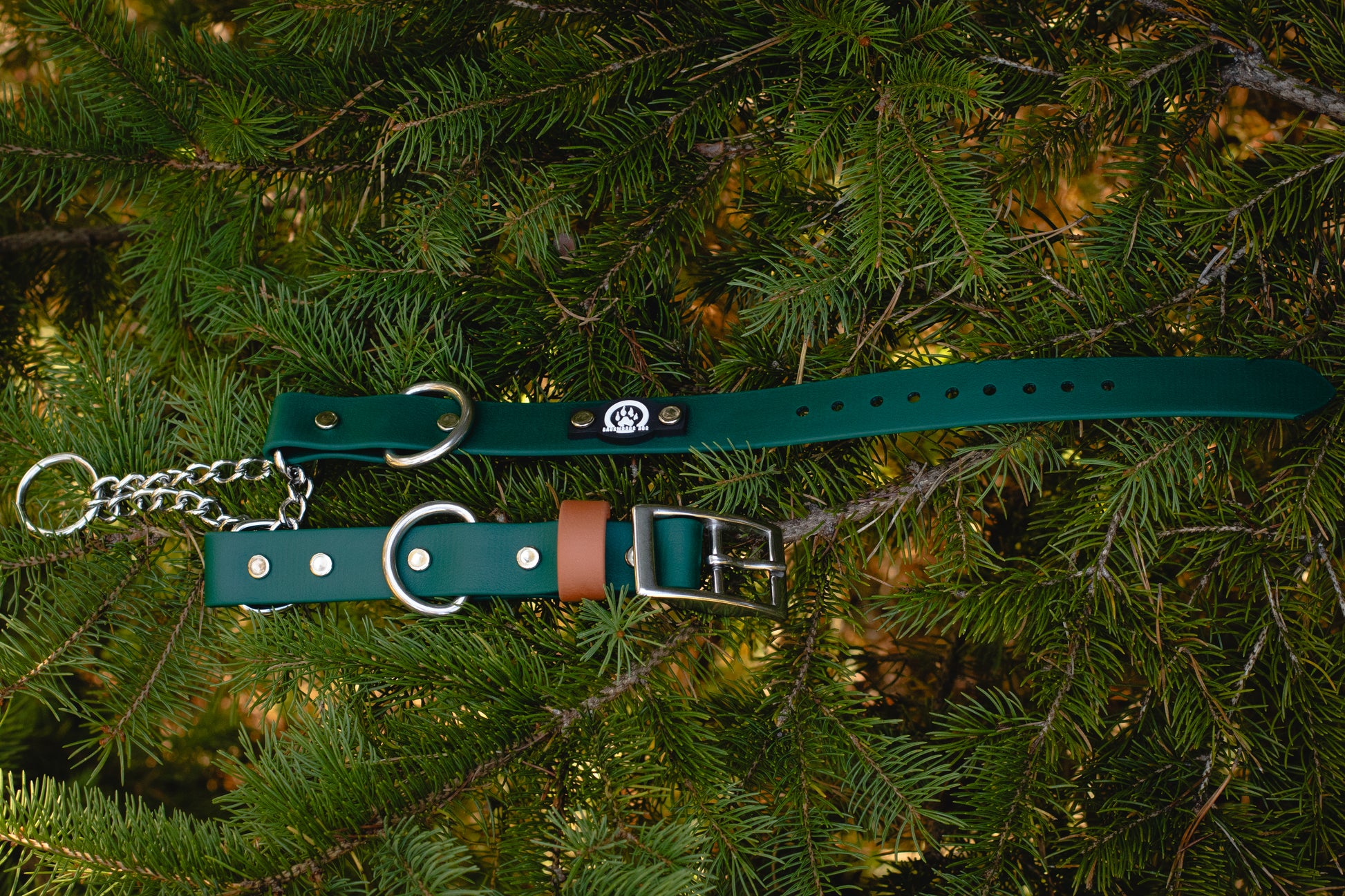 forest green stainless steel buckle martingale waterproof dog collar