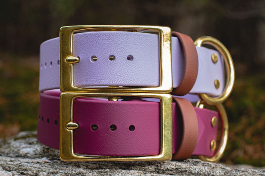 Backwoods Dog 1.5" BioThane Brass Buckle dog collar in wine and lavender
