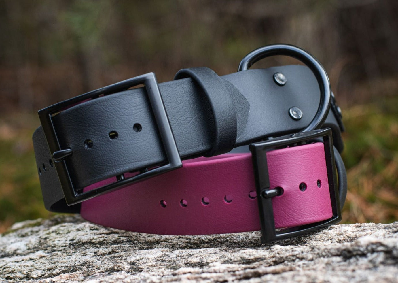 Backwoods Dog 1.5" BioThane Buckle Dog Collar with black buckle and hardware in wine and black