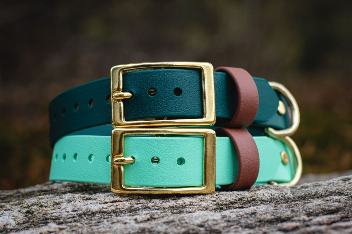Backwoods Dog 1" BioThane Brass buckle dog collars in forest green and mint green