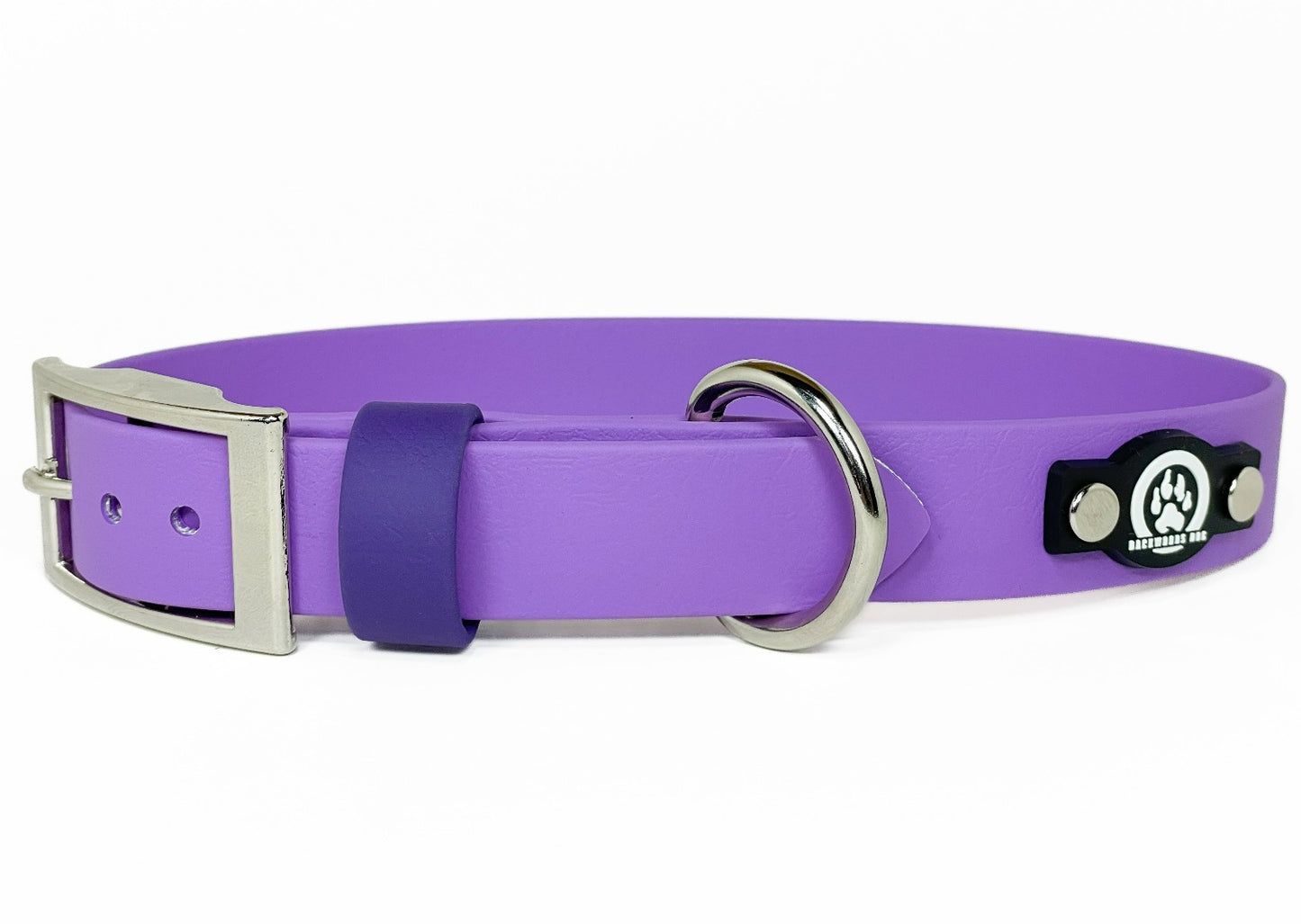 Classic Stainless Steel Buckle Collar