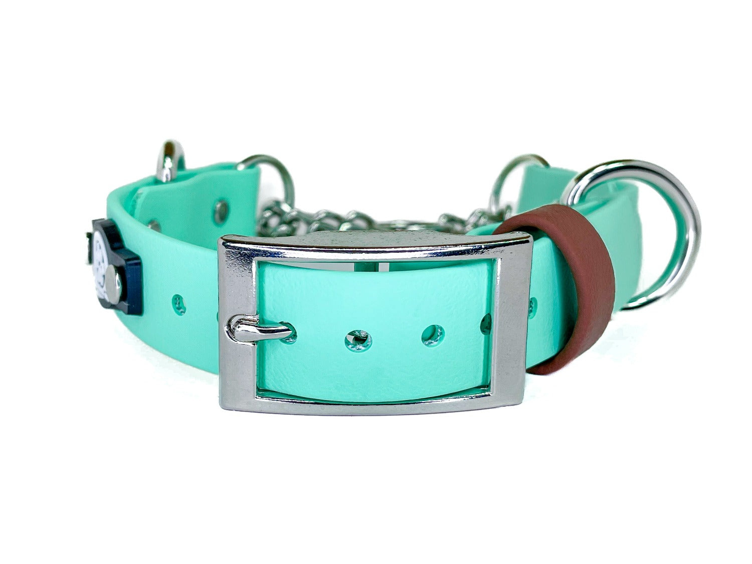 Backwoods Dog BioThane waterproof buckle martingale dog collar in mint with brown accent