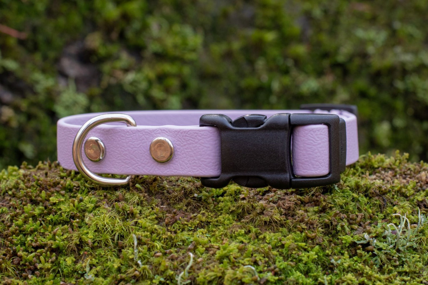 Backwoods Dog 5/8 inch lavender waterproof BioThane Vegan leather small dog collar